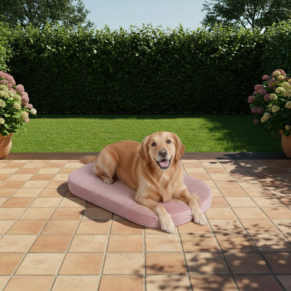 Outdoor Ovales Rundes Hundekissen nach Maß